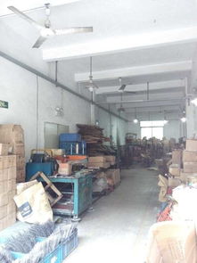 廣州市廠房安全檢測(cè)鑒定單位專業(yè)檢測(cè)廠房質(zhì)量 今日新聞